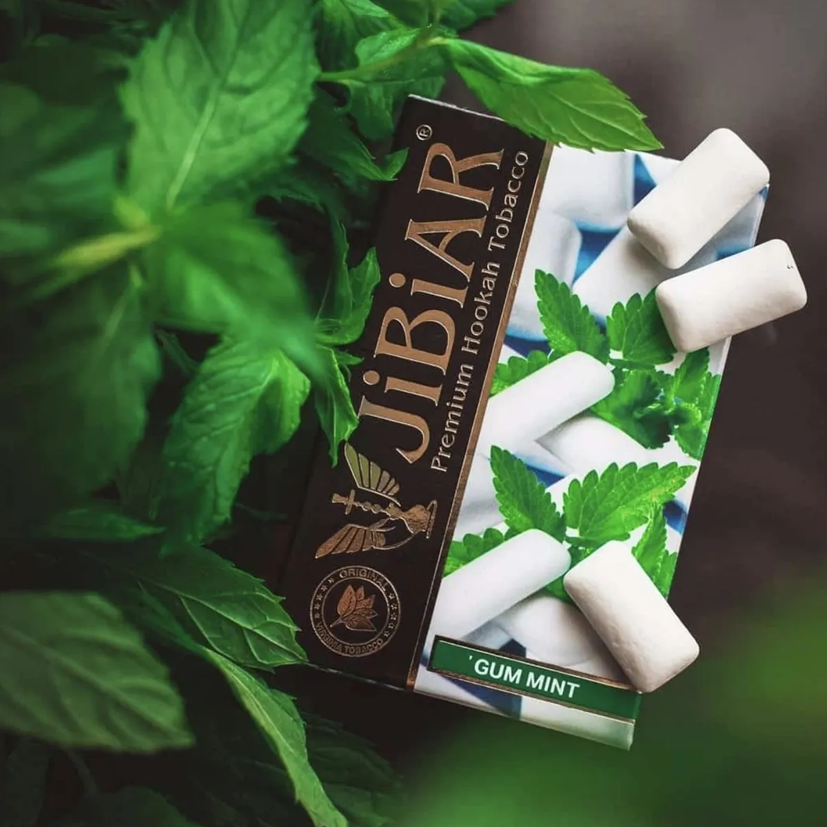 Gum Mint - Image 2